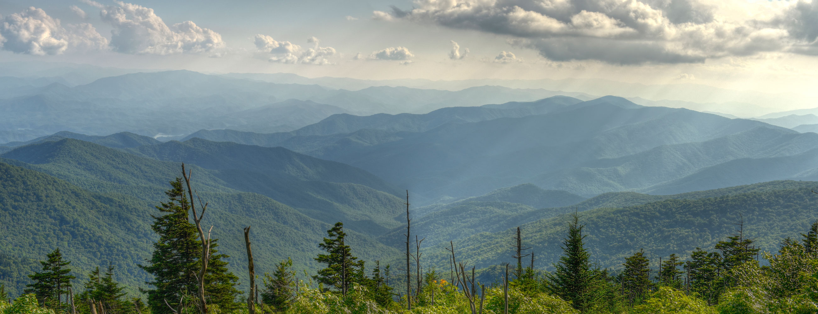 marielshynnelaroza18